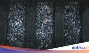 Batu Bara Indonesia Tetap Menawan Meski Menghadapi Tahap Pengurangan Batu Bara