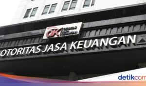 OJK Menetapkan Persyaratan Usia dan Pendapatan Pengguna Layanan Paylater