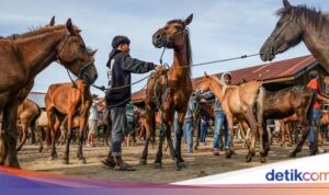 Perkembangan Pasar Kuda di Jeneponto