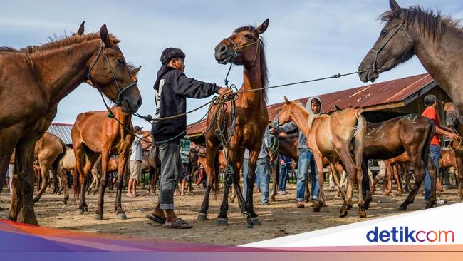 Perkembangan Pasar Kuda di Jeneponto