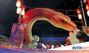 Prediksi Nasib Keuangan 12 Shio di Tahun Ular Kayu 2025