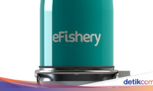 Rahasia Keuangan Terbongkar: Pendiri eFishery Diduga Manipulasi Laporan