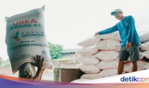 Pabrik Pupuk Tanpa Rasa Takut: Siap Ekspansi Meski Rupiah Melemah