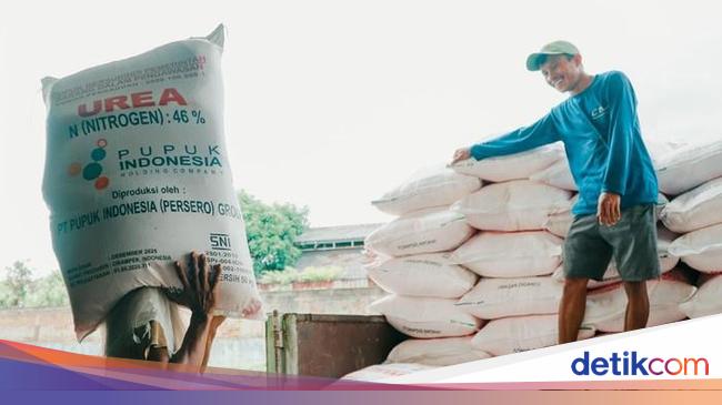 Pabrik Pupuk Tanpa Rasa Takut: Siap Ekspansi Meski Rupiah Melemah