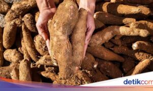 Penurunan Produksi dan Kelesuan Pasar Hasil Panen