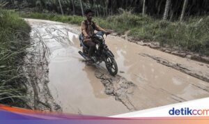 Kerusakan Jalan dan Banjir di Muaro Jambi