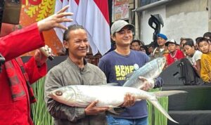 Lelang Ikan Bandeng Super Berbobot 8,5 Kg: Penawaran dari Pramono dan Teguh Setyabudi