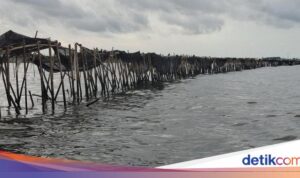 Rahasia Terungkap! Pagar Misterius di Perairan Tangerang Terpasang Dengan Rahasia
