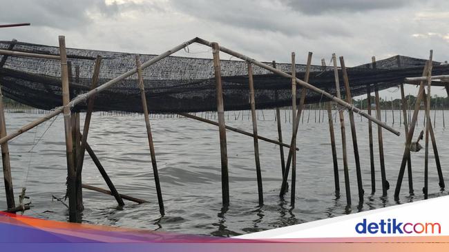 Misteri Pembayaran di Laut Tangerang: Langkah Preventif Melawan Abrasi