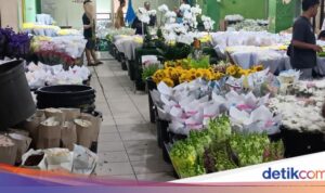 Menyaksikan Keindahan Pasar Bunga Terbesar di ASEAN: Tetap Seharum Dulu?