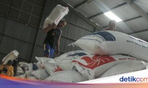 Stok Beras Terbesar dalam Sejarah Era Prabowo