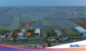 Transformasi Tambak Mati Menjadi Pabrik: Kisah Sukses yang Menakjubkan