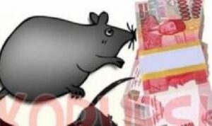 Skandal Korupsi di PT Pertamina Membuat Negara Merugi Rp 193,7 Triliun dalam 2018-2023, Catatan Kejagung