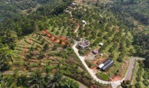 Langkah AA Kadu Membawa Industri Durian Priangan Timur ke Puncak Kesuksesan di Nusantara