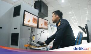 Bea Masuk dan Pajak Barang Kiriman Impor Berkontribusi Rp 1,7 Triliun ke Kas Negara