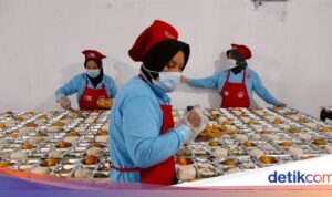 Kemitraan UMKM dengan Badan Gizi: Makan Gratis dan Modal Rp 500 Juta