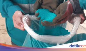 Anda Dihimbau untuk Menghentikan Hilirisasi Nikel RI Jika Tidak Melakukan Hal Ini