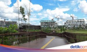 Investor Berpotensi yang Belum Terealisasi