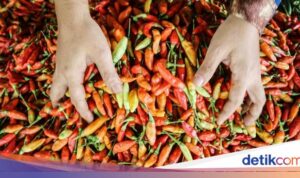 Kementan: Stok Cabai Normal, Harga Segera Menurun