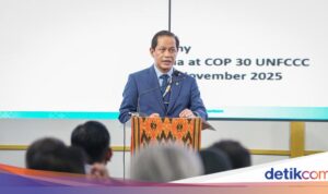 Bursa Karbon RI Mendekati Puncaknya, Mencapai Rp 78,5 Miliar Bursa Karbon RI Mendekati Puncaknya, Mencapai Rp 78,5 Miliar