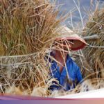 Dari Sawah ke Botol: Membangun Ekonomi Hijau dari Jerami Padi