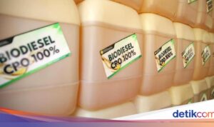 Langkah-langkah Pemerintah dalam Menekan Impor Solar