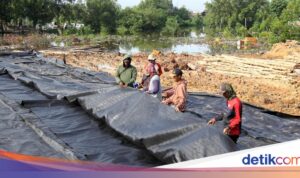 Membangun Tanggul Perlindungan Permukiman di Dumai dengan Anggaran Rp12 Miliar