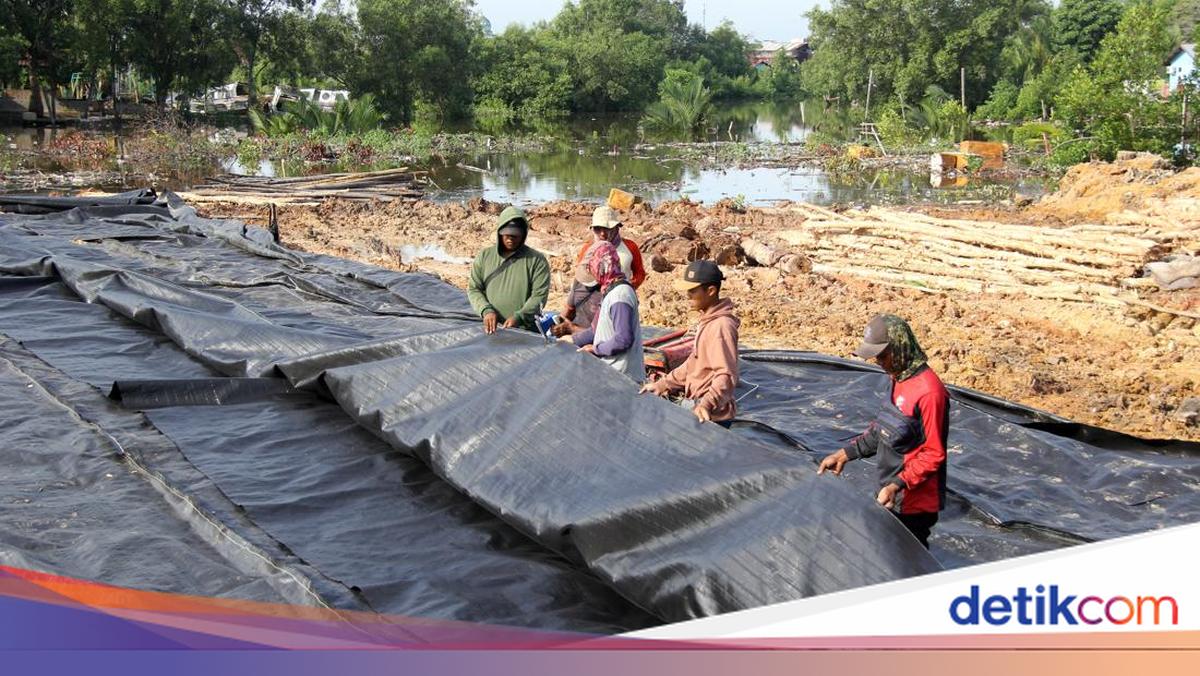 Membangun Tanggul Perlindungan Permukiman di Dumai dengan Anggaran Rp12 Miliar