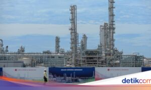 Menggalakkan Industri Petrokimia Lokal: Langkah Strategis Pemerintah