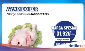 Bunda, Segera Beli Daging Ayam Diskon Besar di Transmart Hari Penuh Hemat