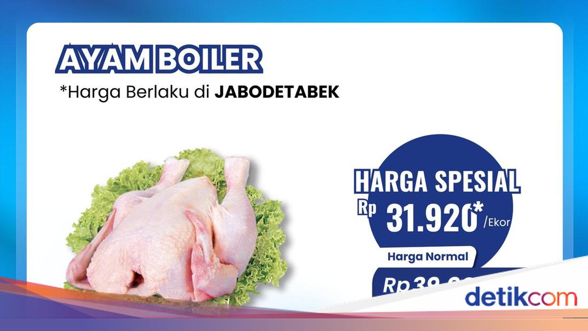 Bunda, Segera Beli Daging Ayam Diskon Besar di Transmart Hari Penuh Hemat